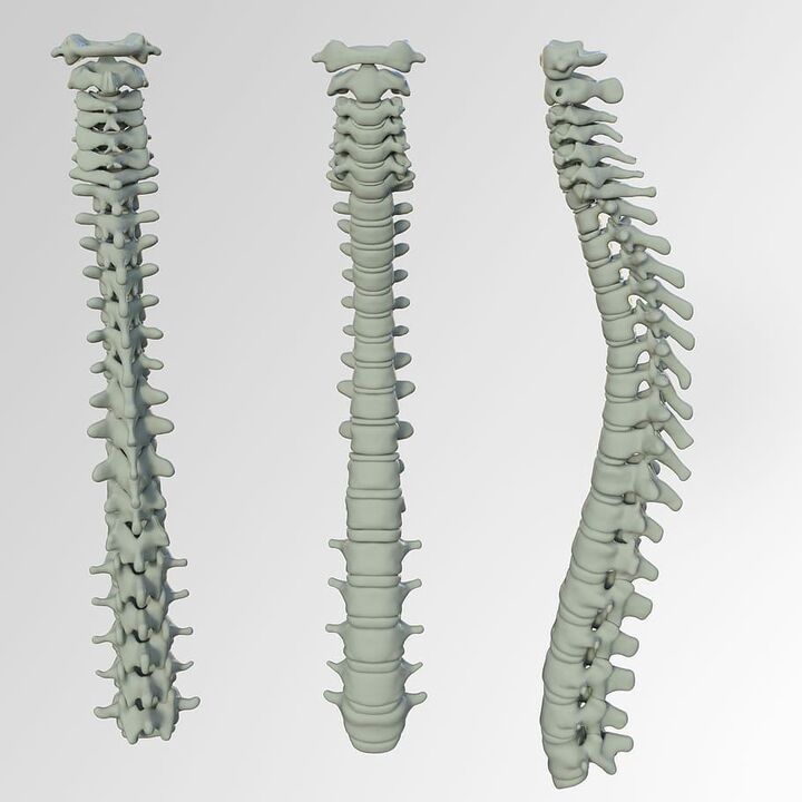 The spine scheme