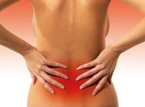The causes of spys in the lower rear part